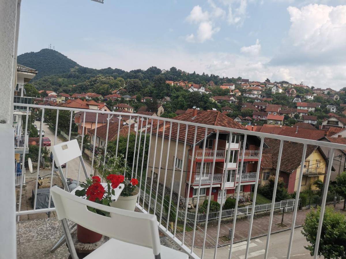 Faris Apartment Donji Milanovac Ngoại thất bức ảnh