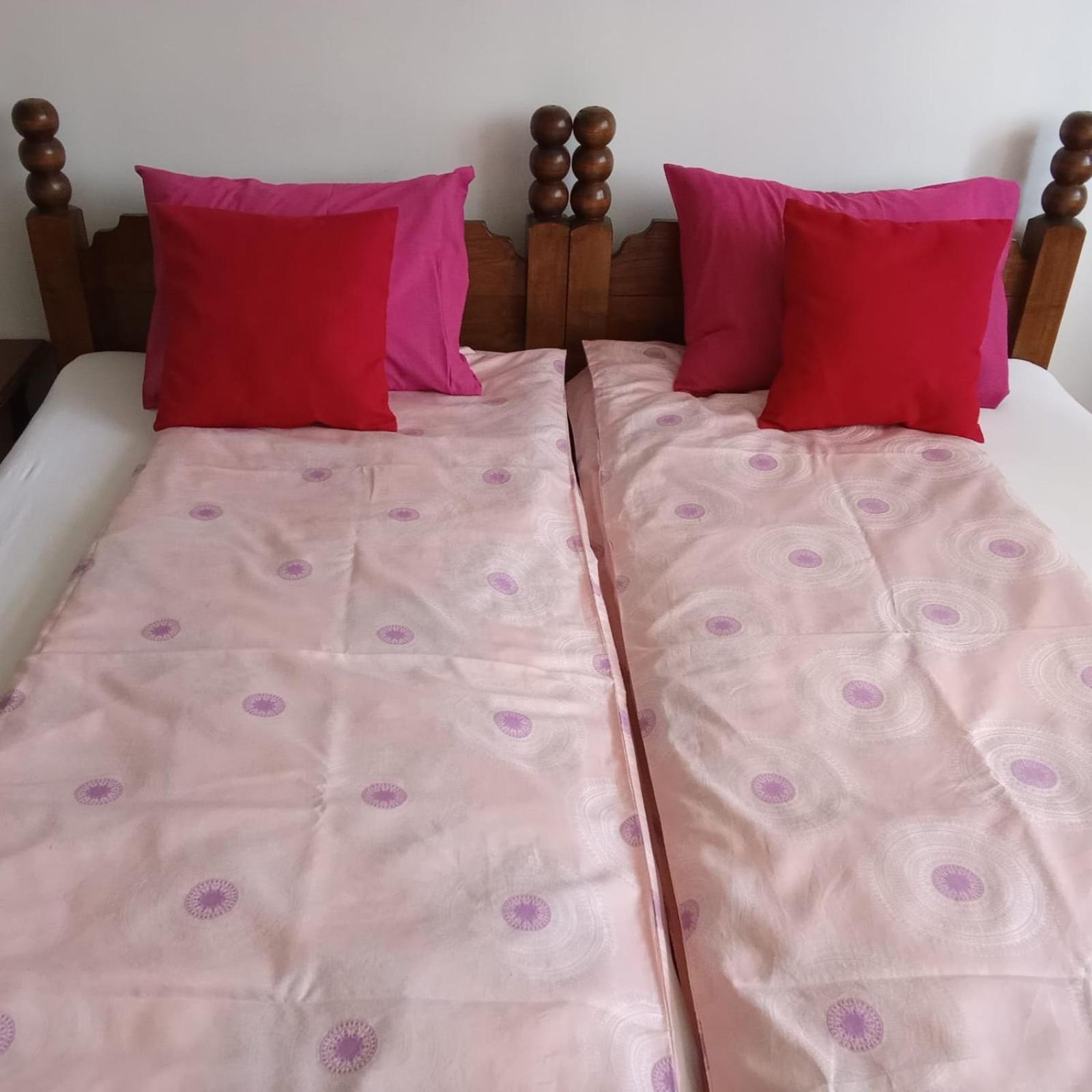 Faris Apartment Donji Milanovac Ngoại thất bức ảnh